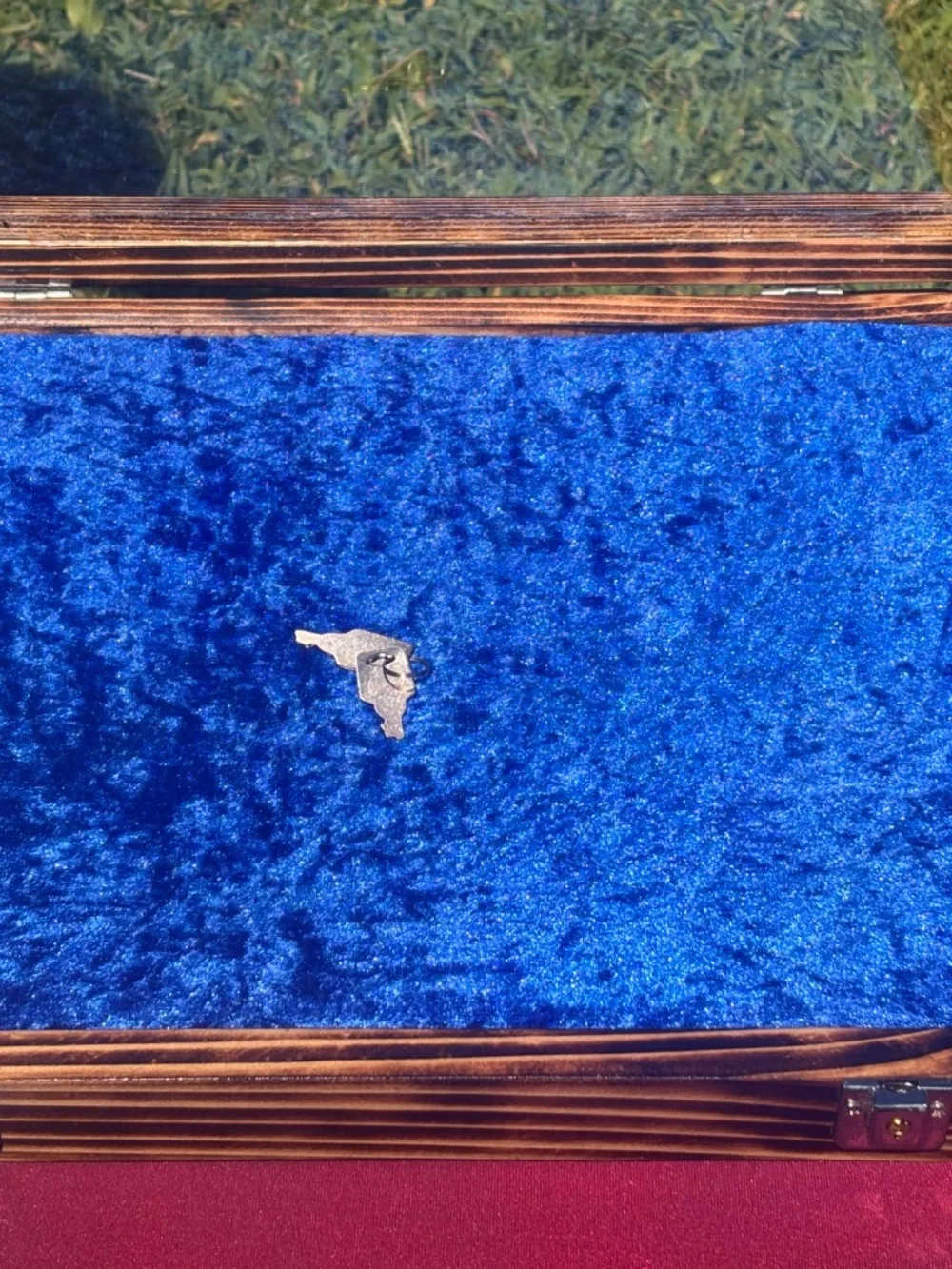 Burnt cypress display case